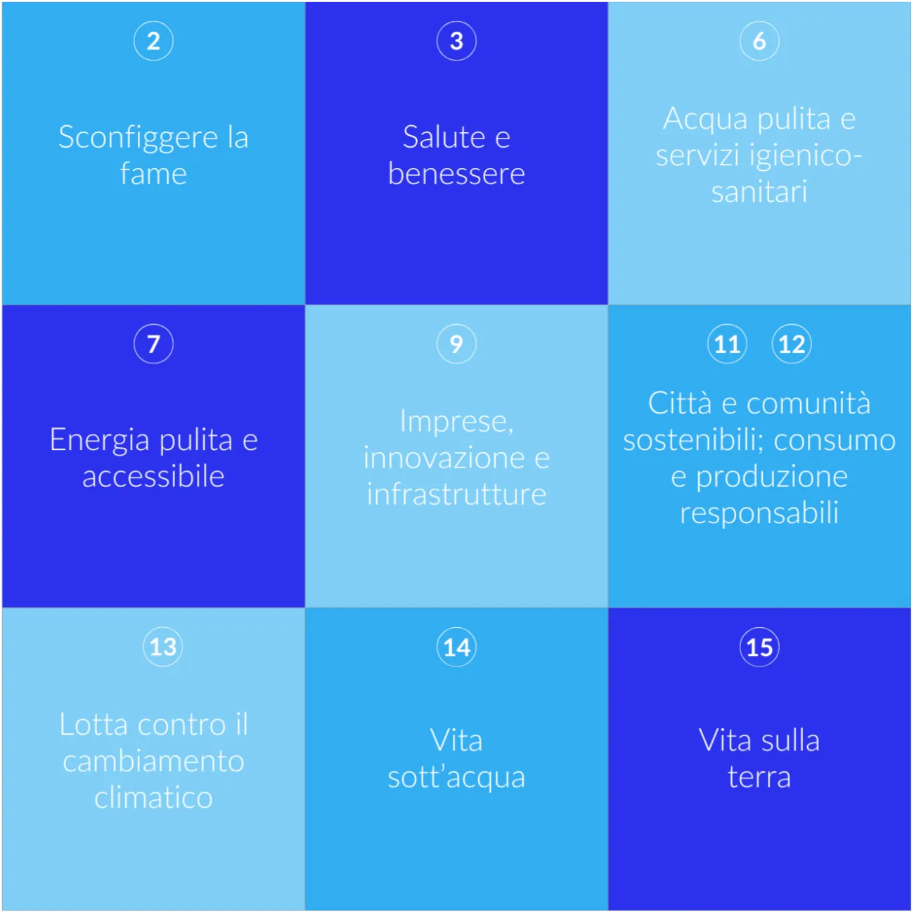 Obiettivi Di Sviluppo Sostenibile agenda 2030 Servizio Idrico Integrato Soluzioni Software