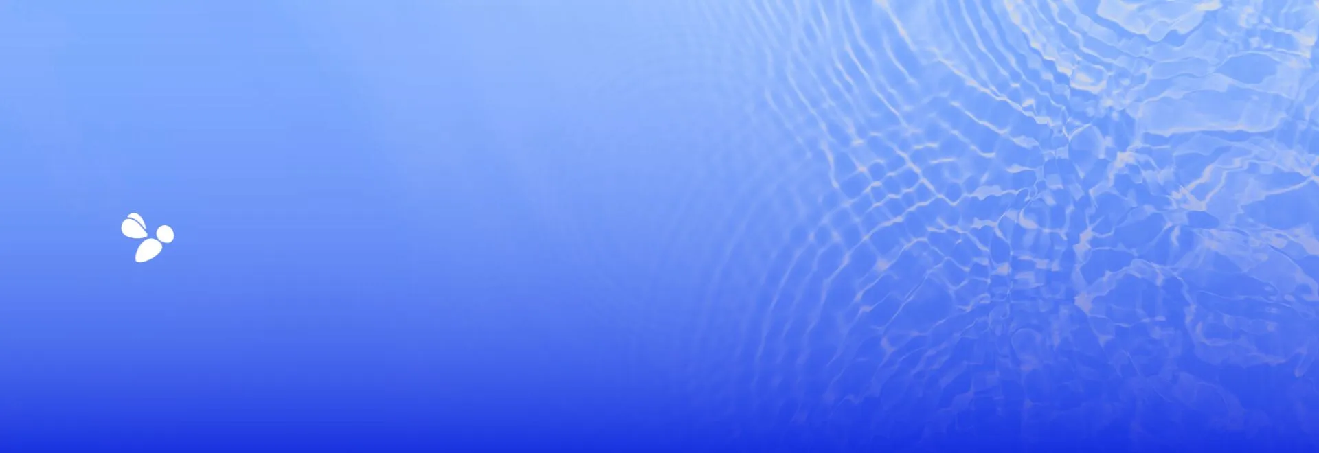 Servizio idrico_software_