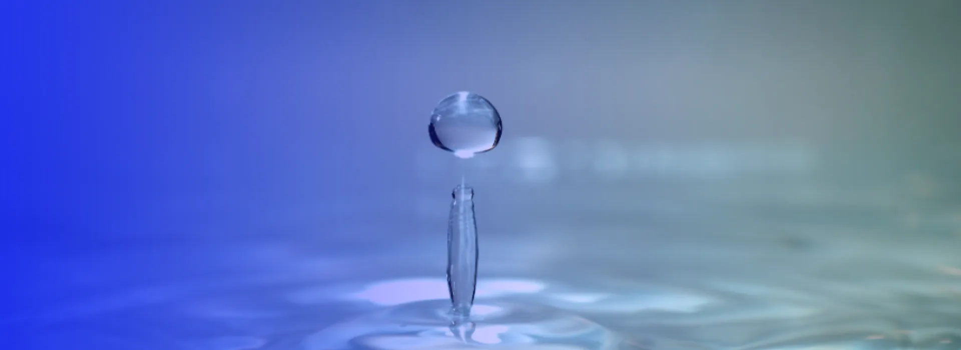 webinar medicion inteligente