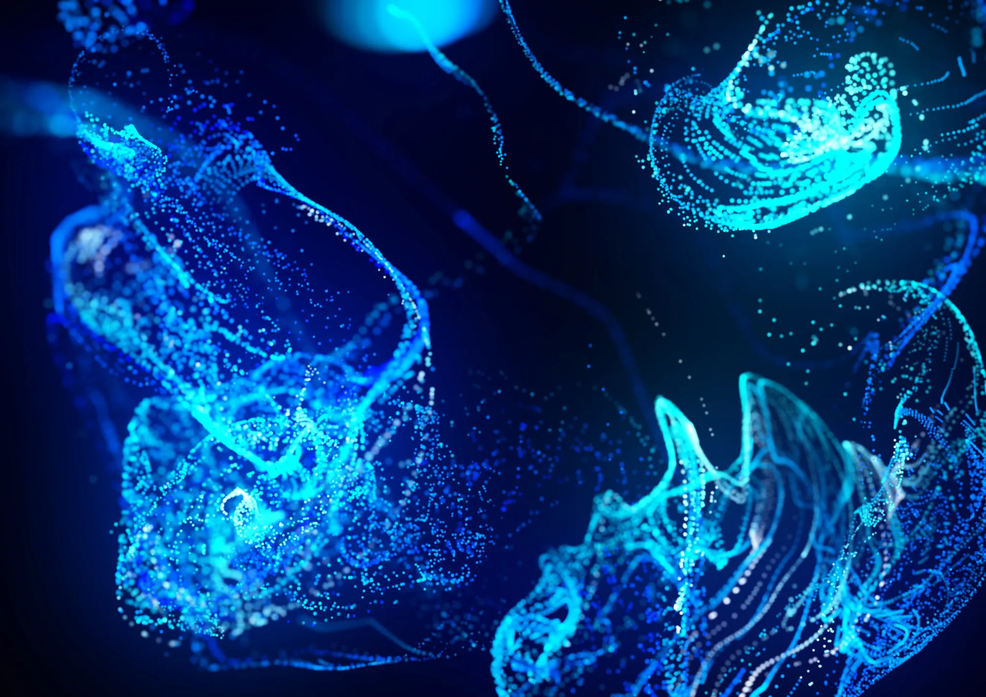 la colaboracion de Terranova con ElEconomista