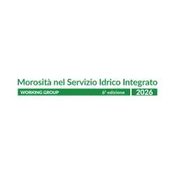 Morosita Nel Servizio Idrico Logo 2026