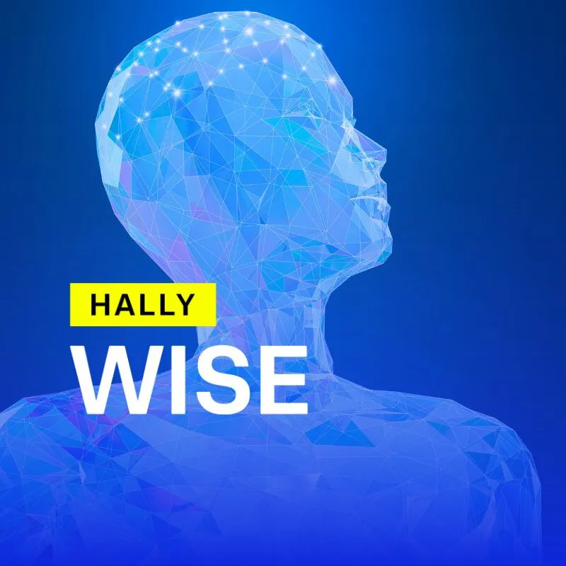 IA Servizio Idrico Wise Gestione Del Cliente Hally Wise IA Generativa Per La Ricerca Documentale E automazione