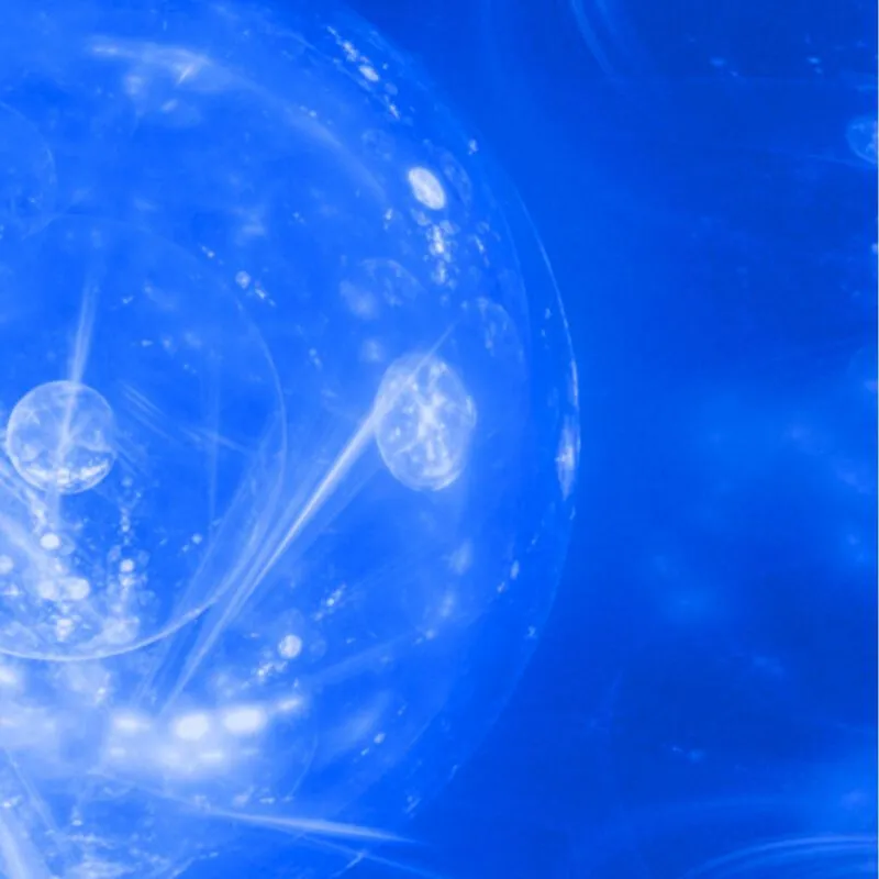 Giornata Mondiale Dell'acqua Servizio Idrico Software Obiettivo 6 Agenda 2030