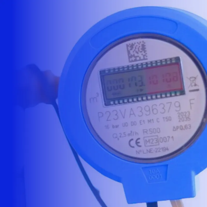 Terranova en la gartner market guide