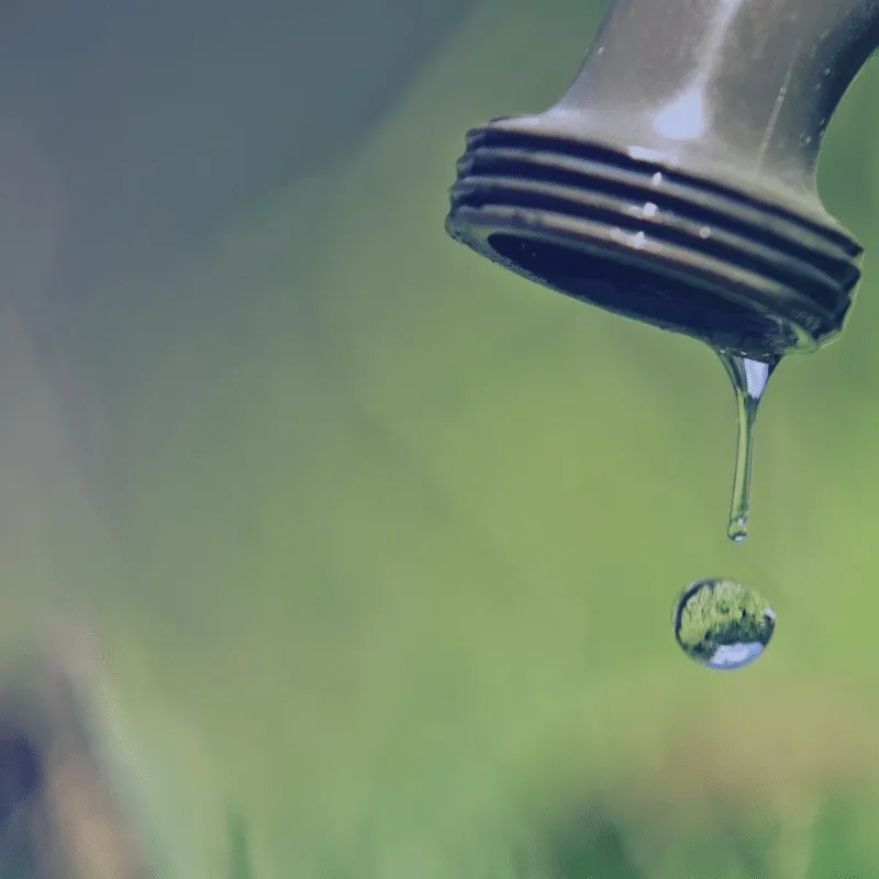 Sostenibilità ambientale e regolazione servizio idrico