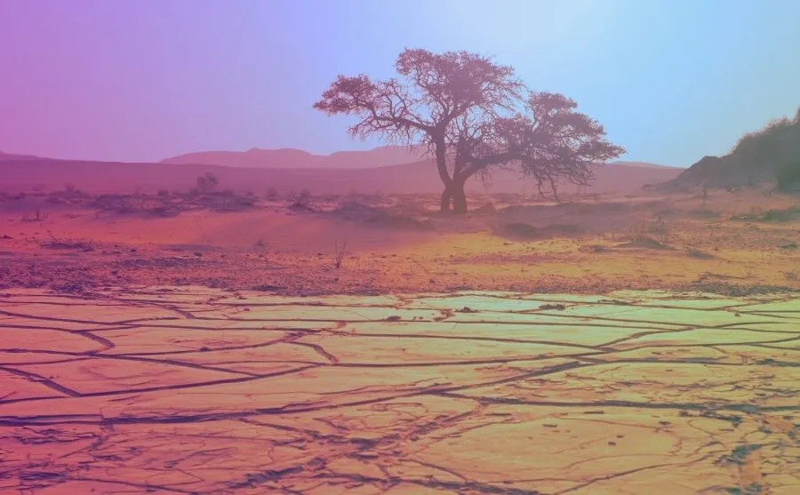 Giornata Mondiale Siccit E Desertificazione Soluzioni Software Per Servizio Idrico Integrato Sostenibile