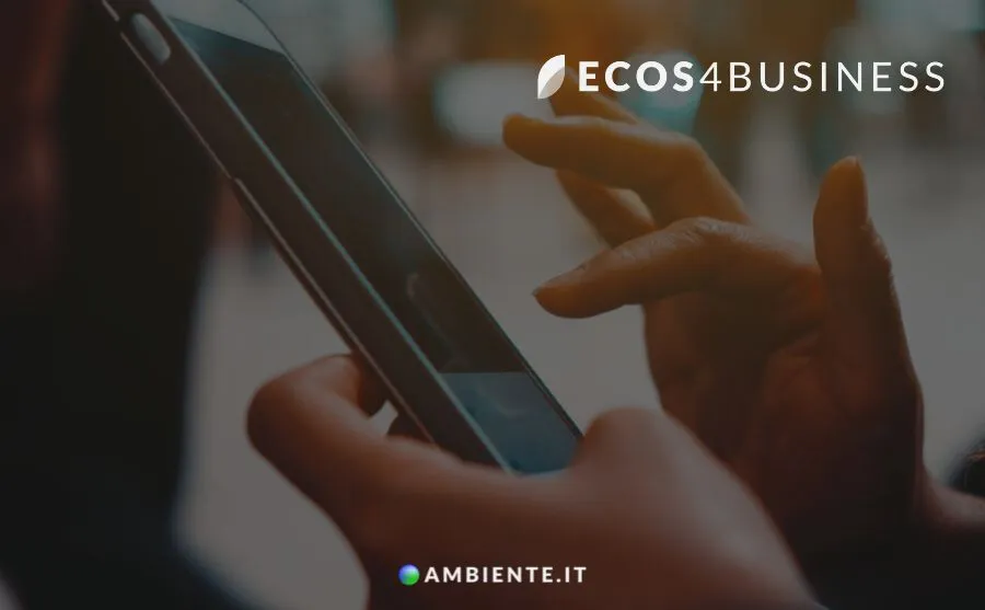 rentri x-fir vivifir