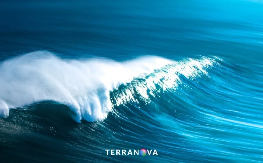 Giornata Mondiale degli Oceani