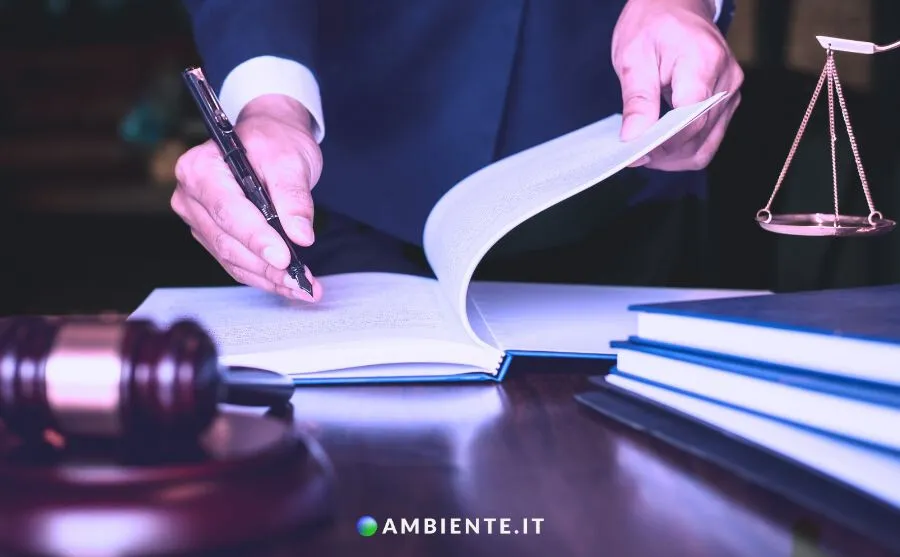 Ambiente.it commento normativo delibera arera 387