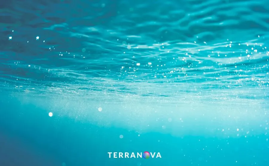 Sostenibilità nel servizio idrico integrato_Terranova_soluzioni software_news