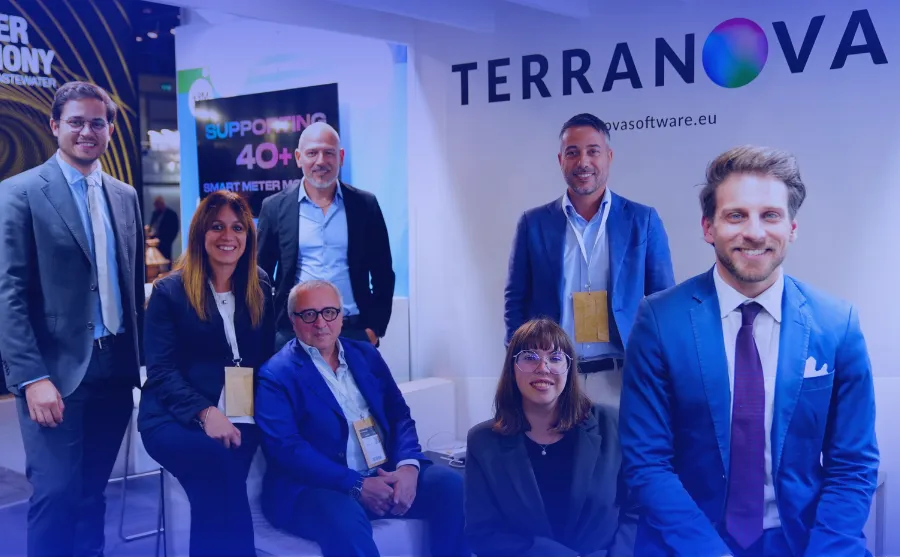 TAMM MDM smart metering market guide gartner