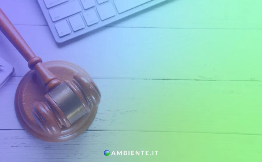 Ambiente.it commento normativo delibera ARERA 41/2024