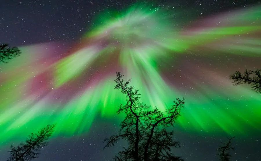 Giornata mondiale dell'ambiente