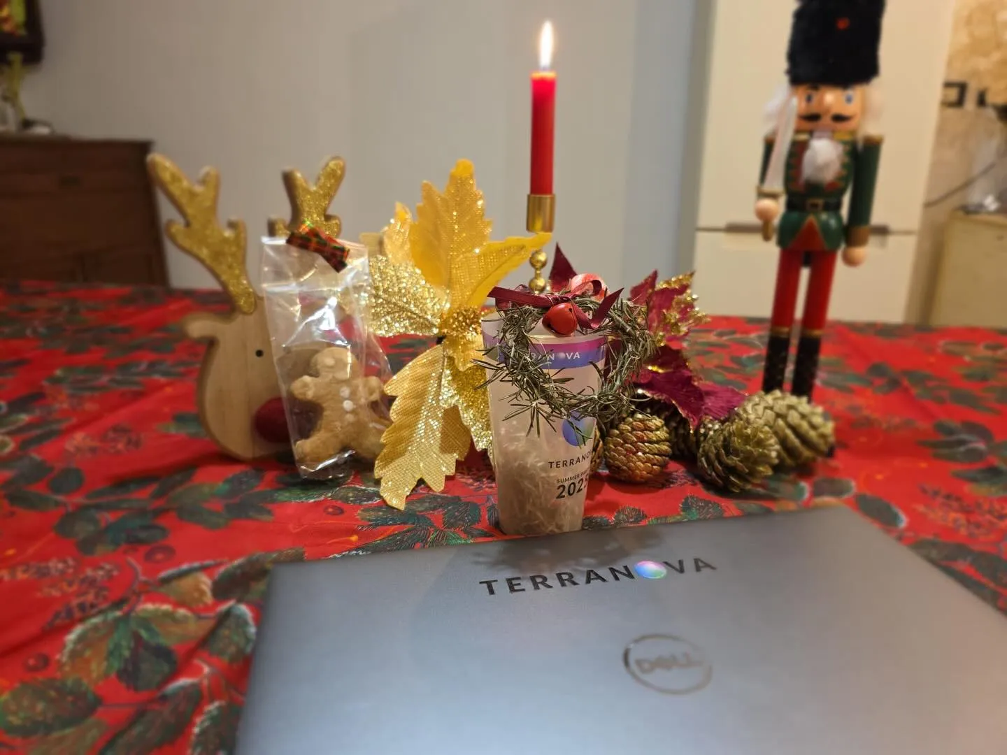 terranova-instagram-feed-140